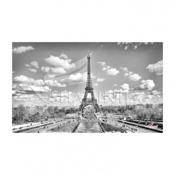 Универсальный коврик SHAHINTEX SPRING PHOTOPRINT SH P130 45*75