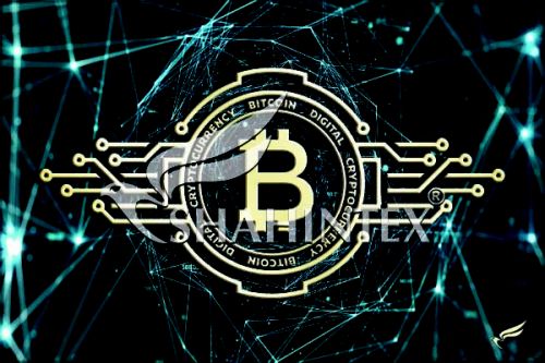 Коврик влаговпитывающий SHAHINTEX DIGITAL PRINT (06) «Биткойн» 40*60