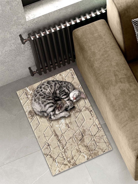 Коврик влаговпитывающий SHAHINTEX DIGITAL PRINT (36) с тиснением соты 